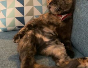 aggr8tech digital branding news from aggreg8