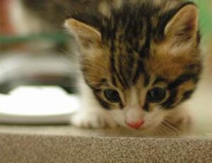 aggr8tech technology updates by aggreg8