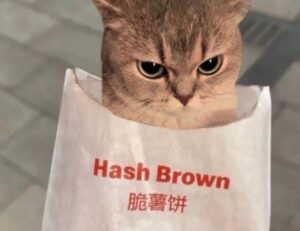 chatbot technology aggr8tech