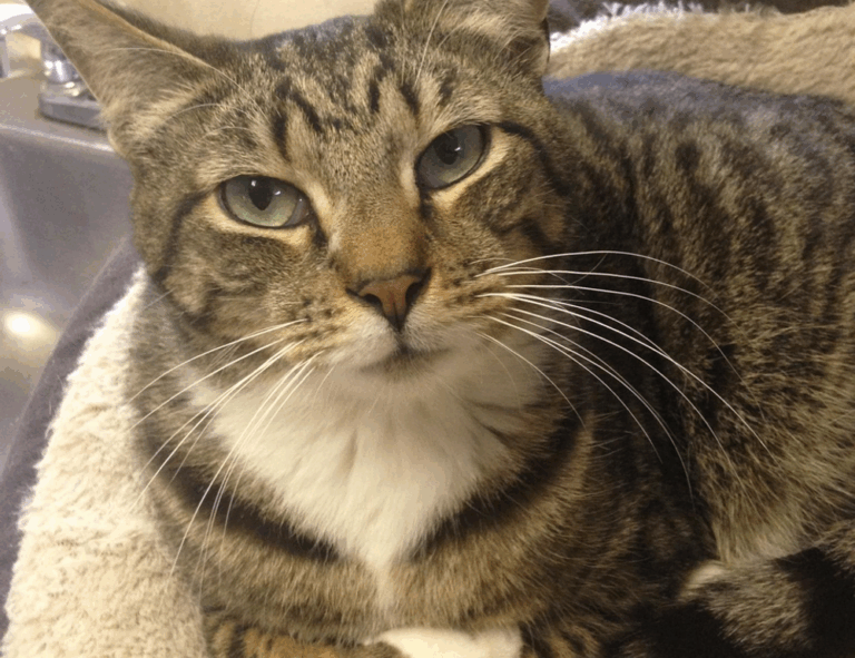 digital branding aggr8tech