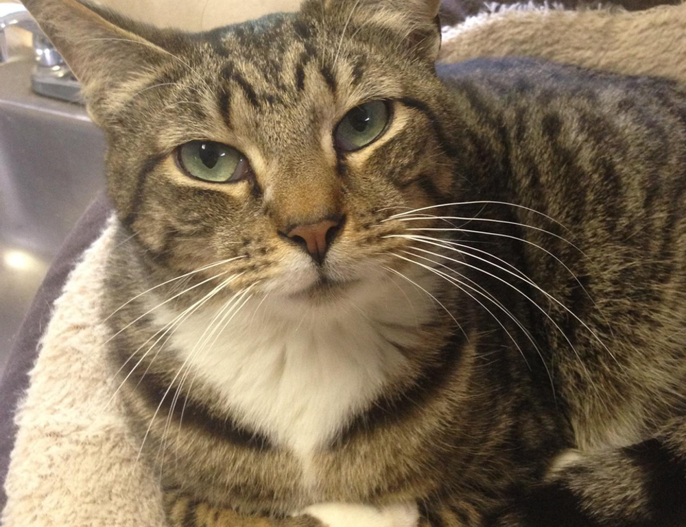 digital branding aggr8tech