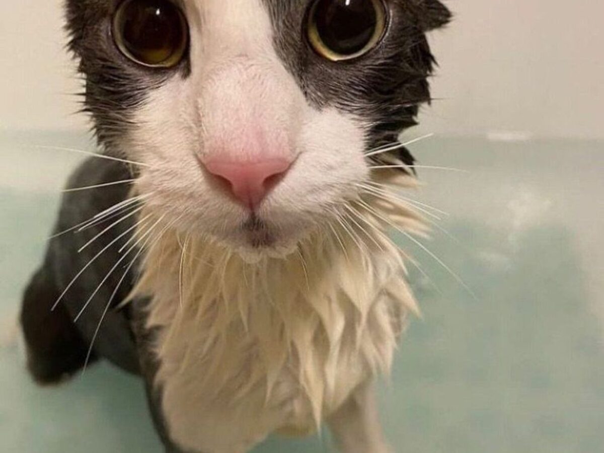 Digital Infusing Aggr8Tech