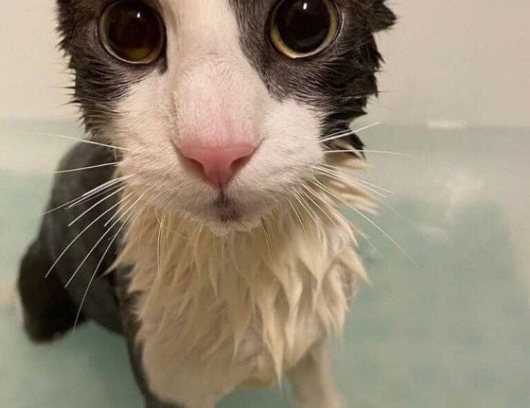 digital infusing aggr8tech