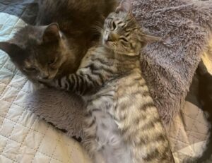 latest technology updates aggr8tech