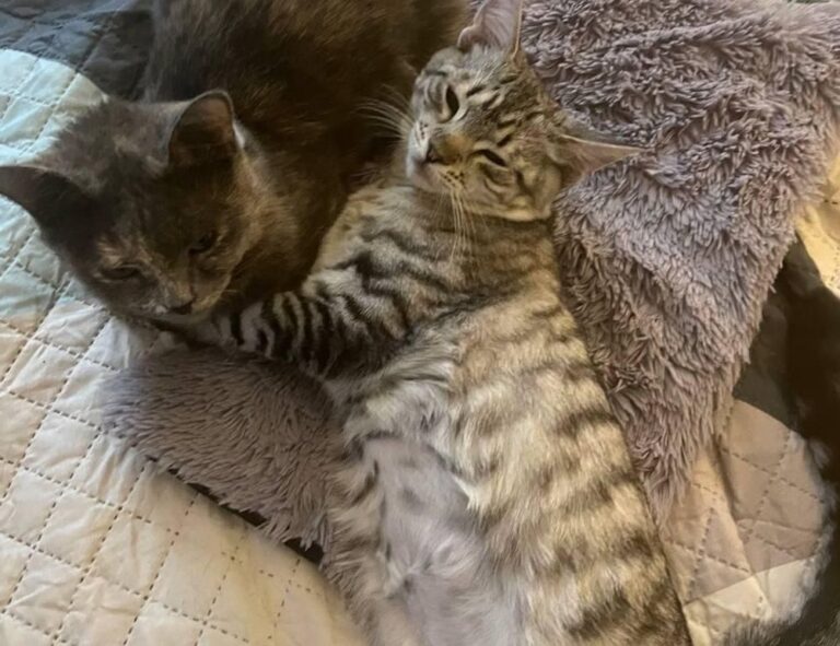 latest technology updates aggr8tech