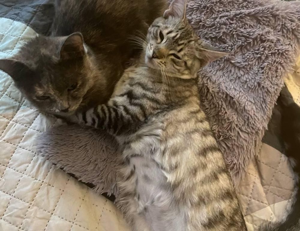 latest technology updates aggr8tech