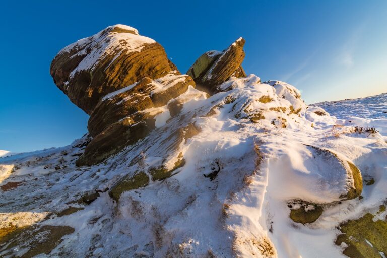 new software name 8tshare6a