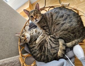 technology updates aggr8tech