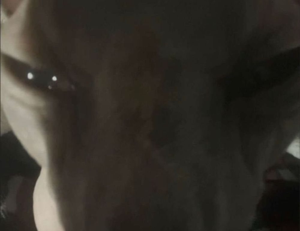 when was the game innerlifthunt released