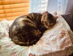 writing tools aggr8tech