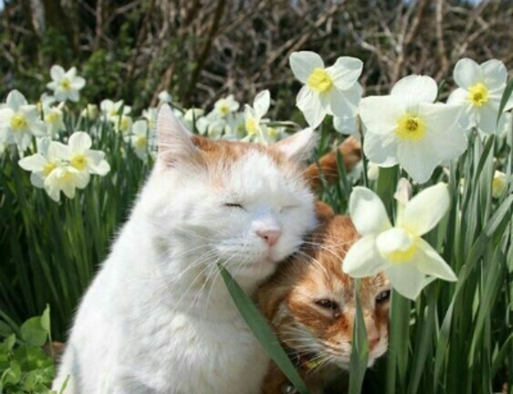 new software name 8tshare6a