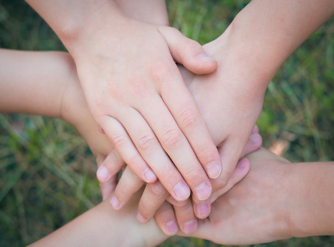 Improve Software Meetshaxs