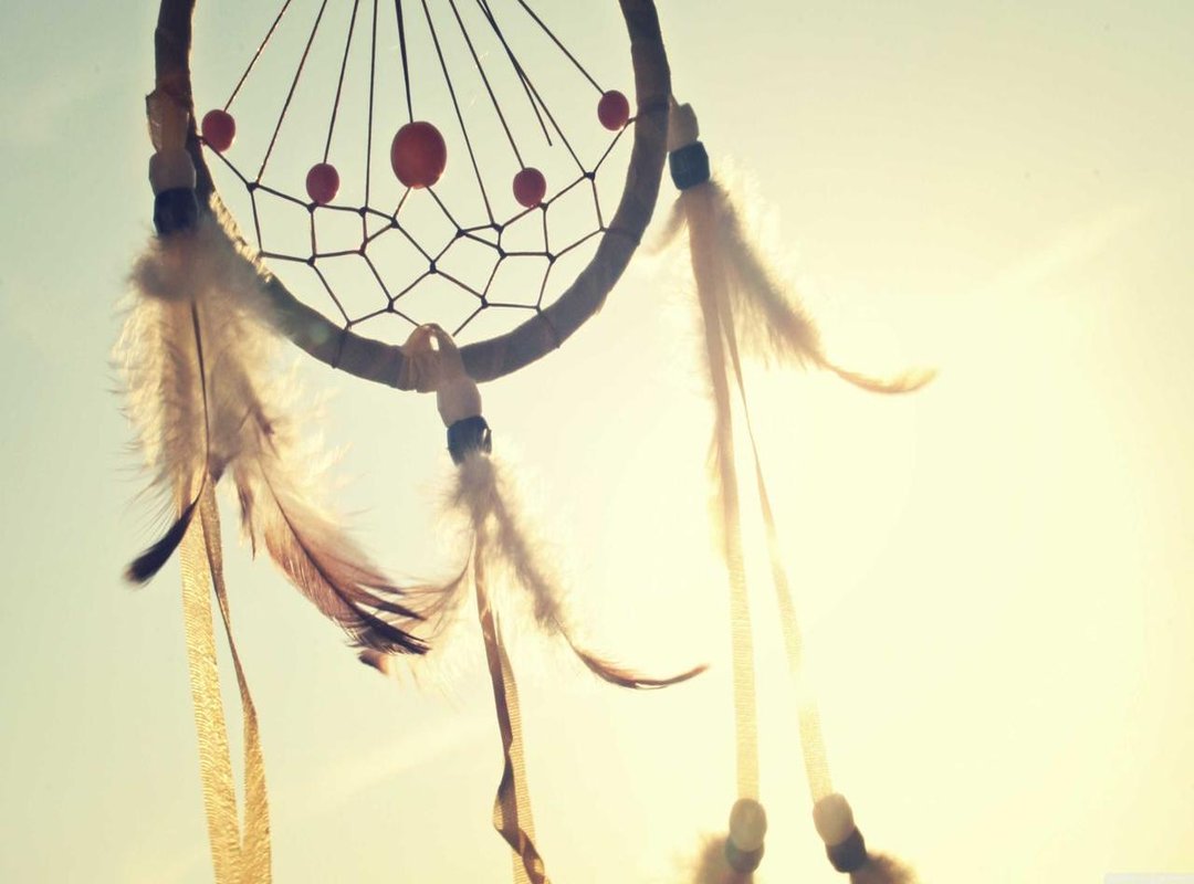 Visitor Information: Hours, Tickets, and Best Times to Visit