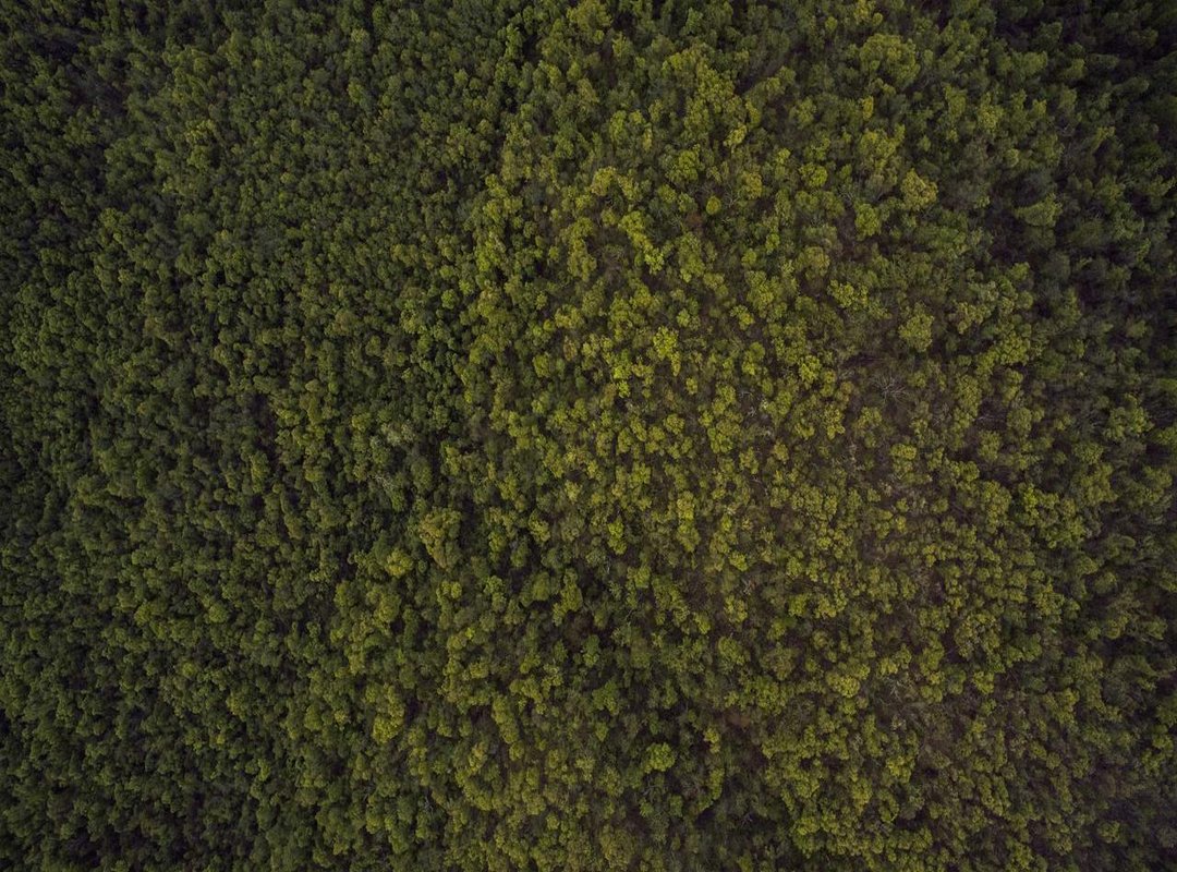 Modern Solutions: The Best Apps and Tools for Date Tracking