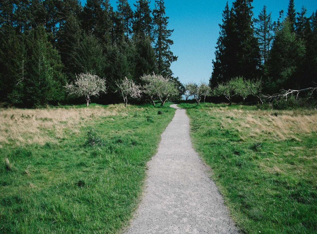 Important Considerations: Safety and Legality