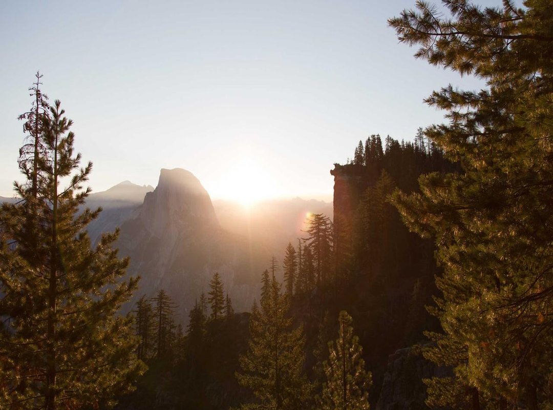 Chaos in the Ring: The Immediate Aftermath and Consequences