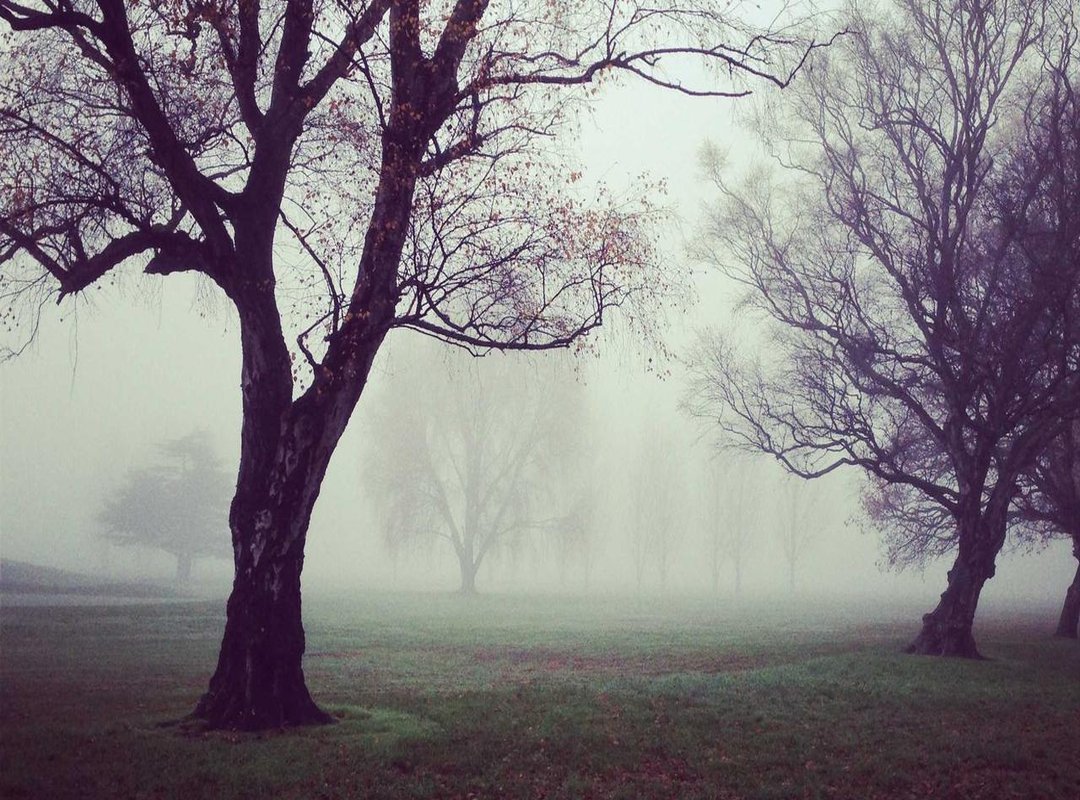 Where to Get the Best Exchange Rates: A Practical Comparison