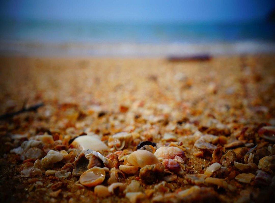 Key Considerations: Potential Risks and Rewards